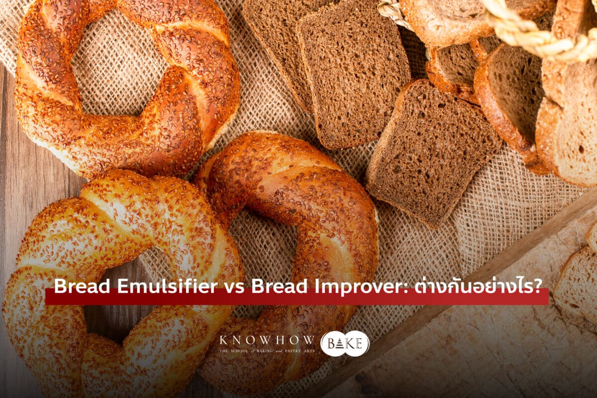 Bread Emulsifier vs Bread Improver: ต่างกันอย่างไร? เคล็ดลับและมุมมองจาก KNOWHOWBAKE