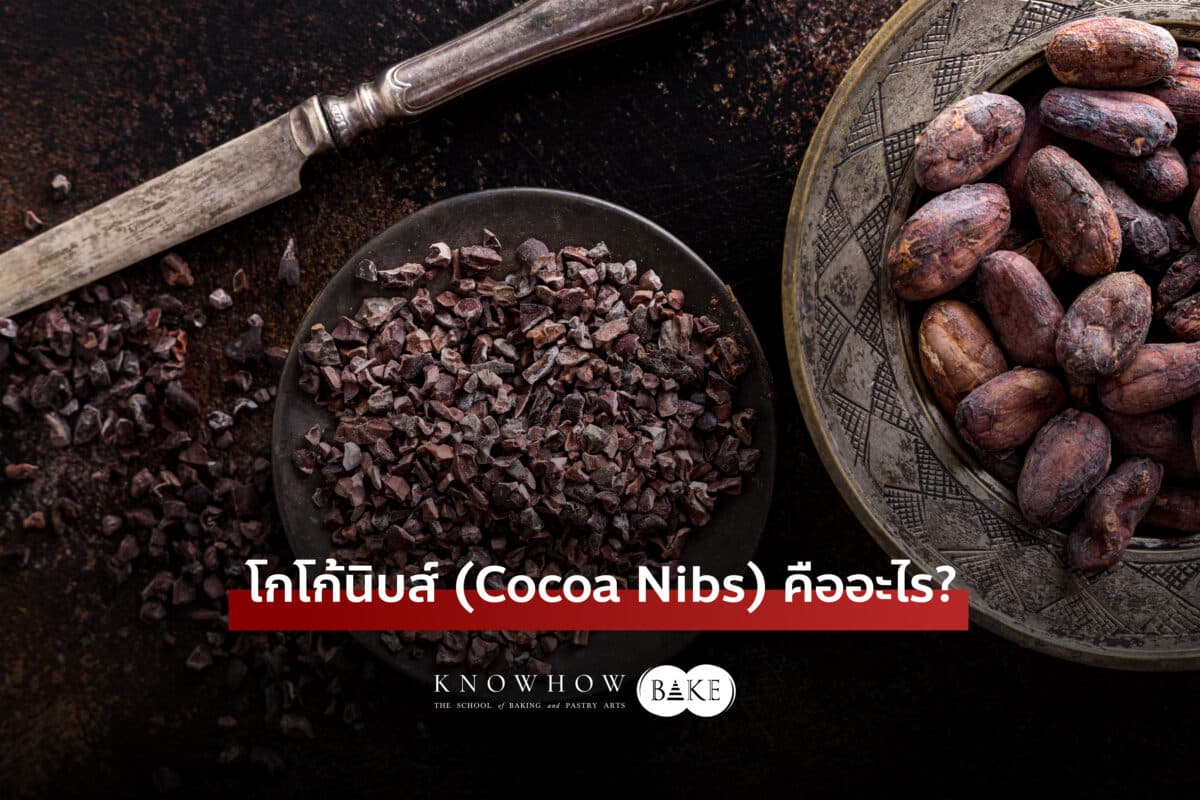 โกโก้นิบส์ (Cocoa Nibs) คืออะไร? ทานยังไง? วิธีเพิ่มความอร่อยและประโยชน์ต่สุขภาพ