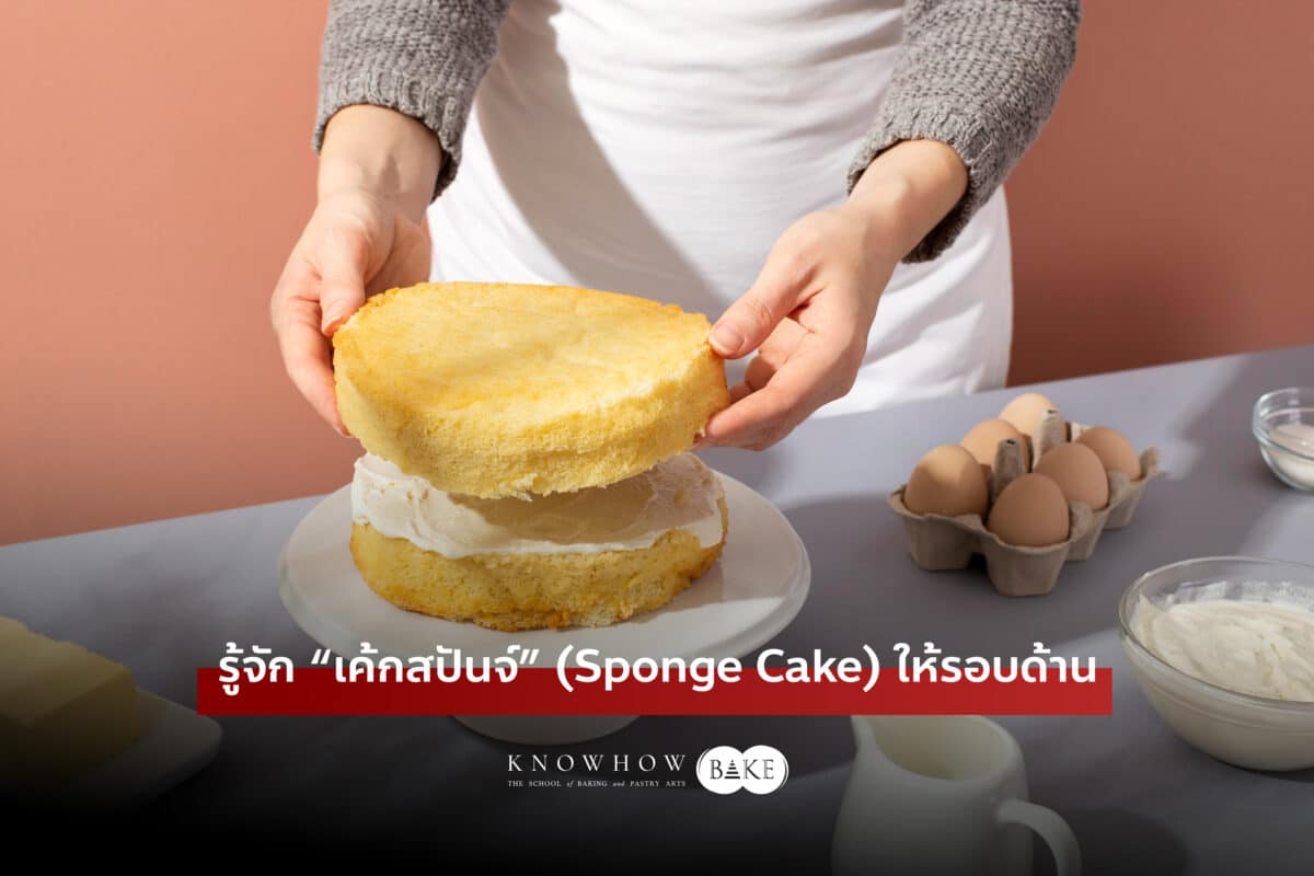 Sponge Cake