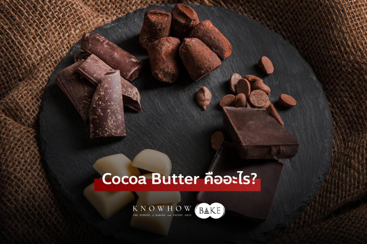 Cocoa Butter คืออะไร? ความรู้พื้นฐานและประโยชน์ที่คุณควรรู้