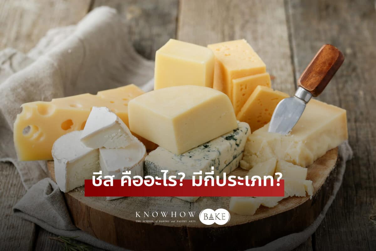 ชีส คืออะไร? มีกี่ประเภท? เคล็ดลับการใช้ชีสเพื่อเพิ่มรสชาติในทุกเมนู