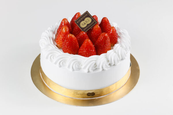 Japanese Cake 2