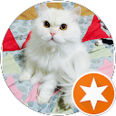 Kornpapha Thana profile picture